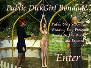 Public dickgirl bondage